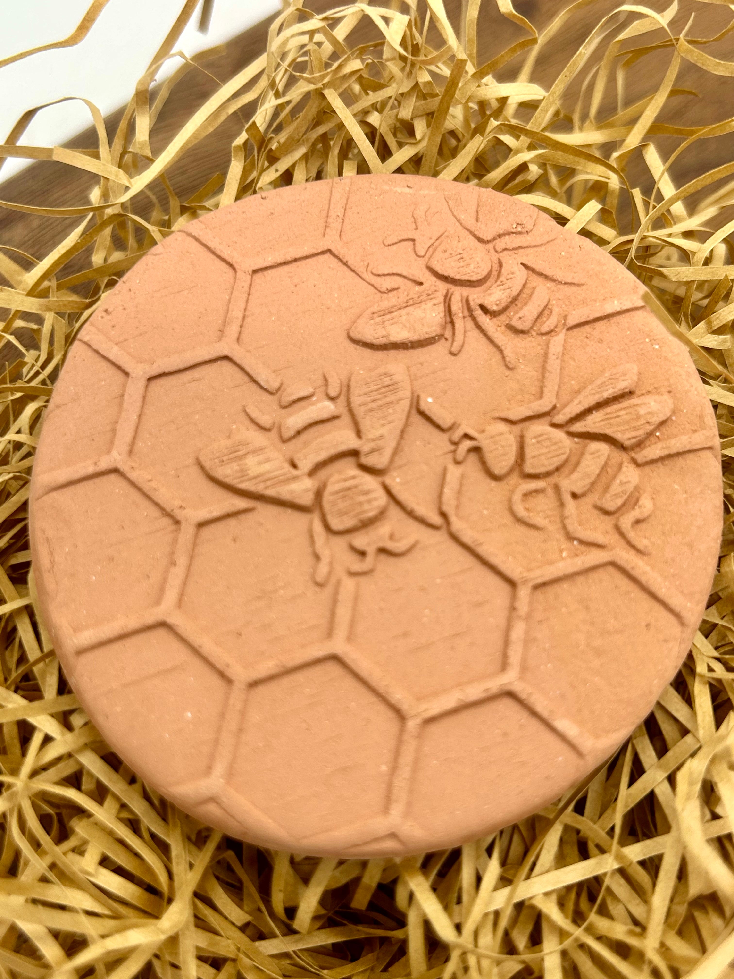 Brown Sugar Saver Keeps Brown Sugar Soft & Ready to Use
